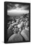 Essential Black