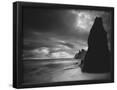 Essential Black