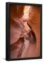 Essential Black