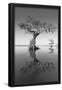 Essential Black