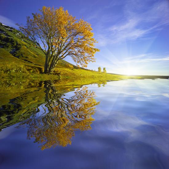 Premium Photographic Print, , large