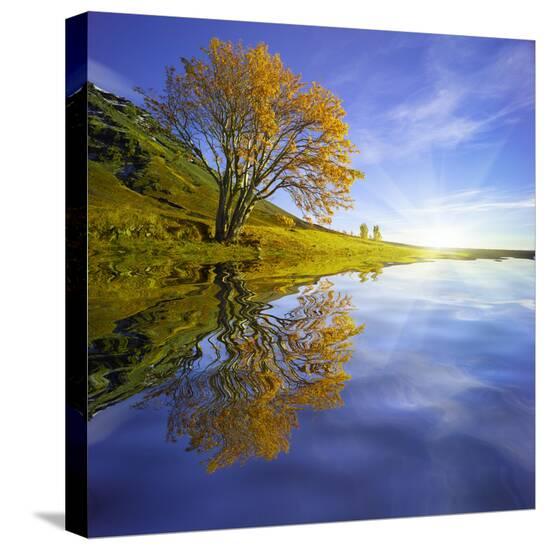 Stretched Canvas Print, , large