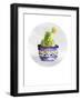 Mojave Cactus 5-Crystal Smith-Framed Art Print