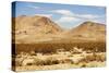 Mojave Desert Landscape-duallogic-Stretched Canvas