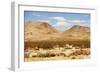 Mojave Desert Landscape-duallogic-Framed Photographic Print