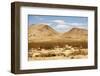 Mojave Desert Landscape-duallogic-Framed Photographic Print