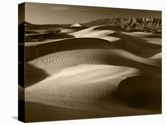 Mojave Desert Sand Dunes, Death Valley National Park, California, USA-Adam Jones-Stretched Canvas