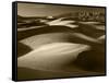 Mojave Desert Sand Dunes, Death Valley National Park, California, USA-Adam Jones-Framed Stretched Canvas