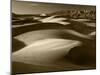 Mojave Desert Sand Dunes, Death Valley National Park, California, USA-Adam Jones-Mounted Photographic Print