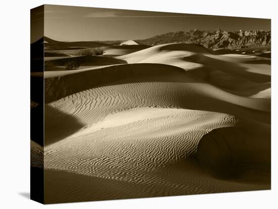 Mojave Desert Sand Dunes, Death Valley National Park, California, USA-Adam Jones-Stretched Canvas