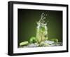 Mojito Cocktail With Splash And Ice-Jag_cz-Framed Photographic Print