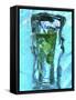 Mojito with Fresh Mint Surrounded by Ice-Michael Meisen-Framed Stretched Canvas