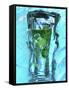 Mojito with Fresh Mint Surrounded by Ice-Michael Meisen-Framed Stretched Canvas