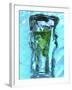 Mojito with Fresh Mint Surrounded by Ice-Michael Meisen-Framed Photographic Print