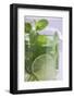 Mojito with Lime and Fresh Mint-Foodcollection-Framed Photographic Print