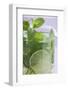 Mojito with Lime and Fresh Mint-Foodcollection-Framed Photographic Print