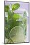 Mojito with Lime and Fresh Mint-Foodcollection-Mounted Photographic Print
