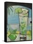 Mojito-Tim Nyberg-Framed Stretched Canvas