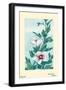 Mok?gì Althea (Hibiscus)-Megata Morikaga-Framed Art Print