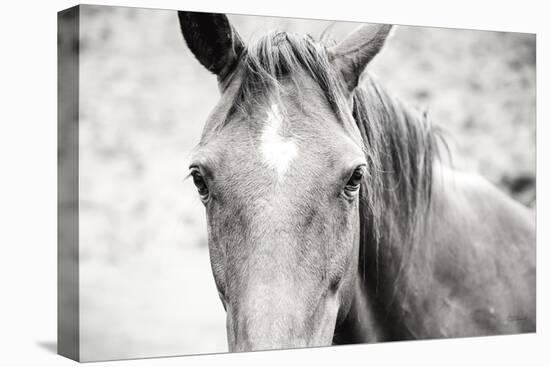 Moke Lake Horses II-Laura Marshall-Stretched Canvas