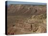 Mokee Dugway Road Descends from Cedar Mesa, in the Valley of the Gods, Utah, USA-Waltham Tony-Stretched Canvas