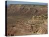 Mokee Dugway Road Descends from Cedar Mesa, in the Valley of the Gods, Utah, USA-Waltham Tony-Stretched Canvas