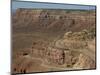 Mokee Dugway Road Descends from Cedar Mesa, in the Valley of the Gods, Utah, USA-Waltham Tony-Mounted Photographic Print