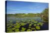 Mokoro being poled though lily pads, Okavango Delta, Botswana, Africa-David Wall-Stretched Canvas