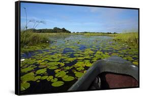 Mokoro in Okavango Delta, Botswana, Africa-David Wall-Framed Stretched Canvas