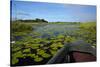 Mokoro in Okavango Delta, Botswana, Africa-David Wall-Stretched Canvas