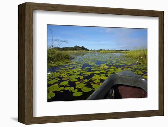 Mokoro in Okavango Delta, Botswana, Africa-David Wall-Framed Photographic Print