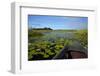 Mokoro in Okavango Delta, Botswana, Africa-David Wall-Framed Photographic Print