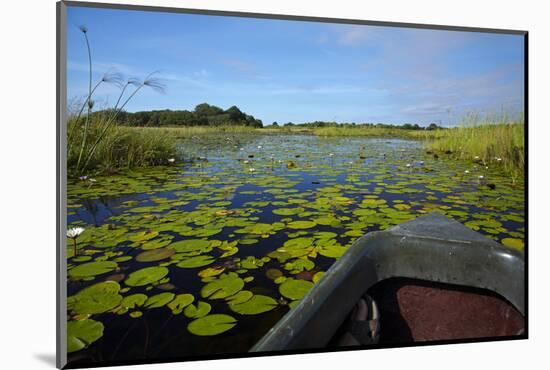 Mokoro in Okavango Delta, Botswana, Africa-David Wall-Mounted Photographic Print