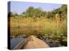 Mokoro through Reeds and Papyrus, Okavango Delta, Botswana-Pete Oxford-Stretched Canvas