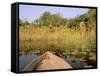 Mokoro through Reeds and Papyrus, Okavango Delta, Botswana-Pete Oxford-Framed Stretched Canvas