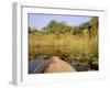 Mokoro through Reeds and Papyrus, Okavango Delta, Botswana-Pete Oxford-Framed Photographic Print