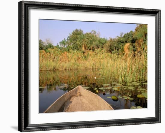 Mokoro through Reeds and Papyrus, Okavango Delta, Botswana-Pete Oxford-Framed Photographic Print