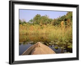 Mokoro through Reeds and Papyrus, Okavango Delta, Botswana-Pete Oxford-Framed Photographic Print