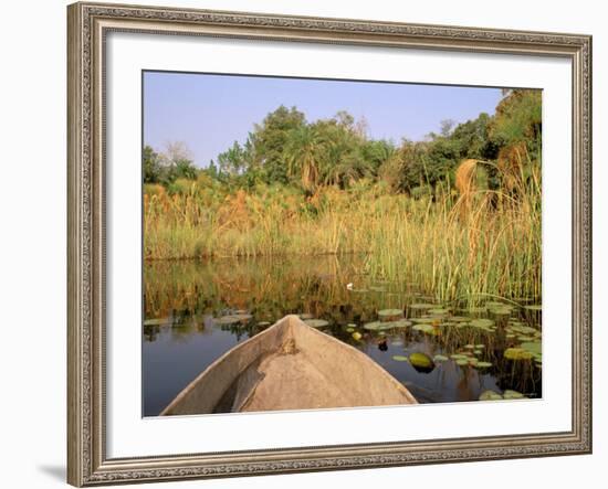 Mokoro through Reeds and Papyrus, Okavango Delta, Botswana-Pete Oxford-Framed Photographic Print