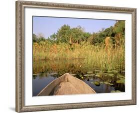 Mokoro through Reeds and Papyrus, Okavango Delta, Botswana-Pete Oxford-Framed Photographic Print