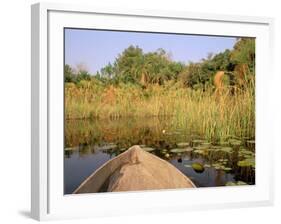 Mokoro through Reeds and Papyrus, Okavango Delta, Botswana-Pete Oxford-Framed Photographic Print