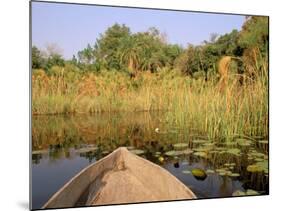 Mokoro through Reeds and Papyrus, Okavango Delta, Botswana-Pete Oxford-Mounted Photographic Print