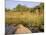 Mokoro through Reeds and Papyrus, Okavango Delta, Botswana-Pete Oxford-Mounted Photographic Print