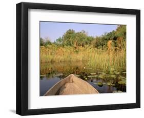 Mokoro through Reeds and Papyrus, Okavango Delta, Botswana-Pete Oxford-Framed Photographic Print