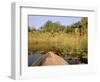 Mokoro through Reeds and Papyrus, Okavango Delta, Botswana-Pete Oxford-Framed Photographic Print