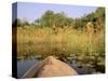 Mokoro through Reeds and Papyrus, Okavango Delta, Botswana-Pete Oxford-Stretched Canvas