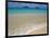 Mokulua Islands from Lanikai Beach-Darrell Gulin-Framed Photographic Print