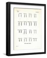 Molars-null-Framed Giclee Print