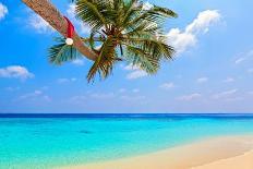 Santa Hat is on A Beach-Molbert-Photographic Print