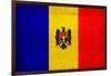 Moldova Flag Design with Wood Patterning - Flags of the World Series-Philippe Hugonnard-Framed Art Print